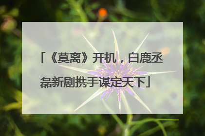 《莫离》开机，白鹿丞磊新剧携手谋定天下