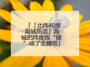 「北纬40度 海城质造」海城把纬度线“镁”成了金腰带
