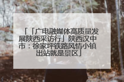 「广电融媒体高质量发展陕西采访行」陕西汉中市：徐家坪铁路风情小镇 出站就是景区