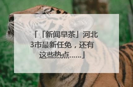 「新闻早茶」河北3市最新任免，还有这些热点……