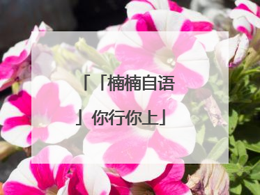 「楠楠自语」你行你上