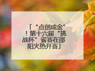 “点创成金”！第十六届“挑战杯”省赛在邵阳火热开赛