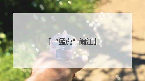 “猛虎”闹江