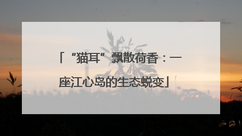“猫耳”飘散荷香：一座江心岛的生态蜕变