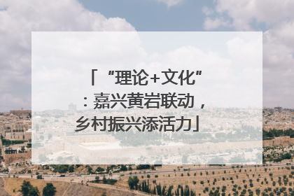“理论+文化”：嘉兴黄岩联动，乡村振兴添活力