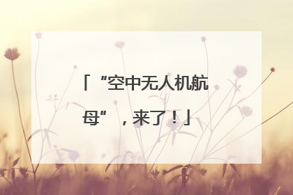 “空中无人机航母”，来了！