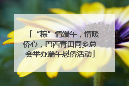 “粽”情端午，情暖侨心，巴西青田同乡总会举办端午慰侨活动