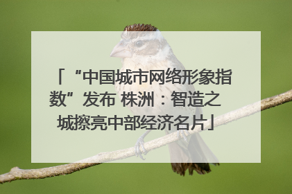 “中国城市网络形象指数”发布 株洲：智造之城擦亮中部经济名片