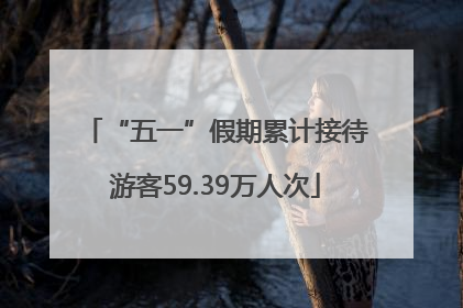 “五一”假期累计接待游客59.39万人次