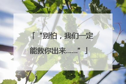 “别怕，我们一定能救你出来……”