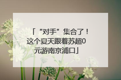 “对手”集合了！这个夏天跟着苏超0元游南京浦口