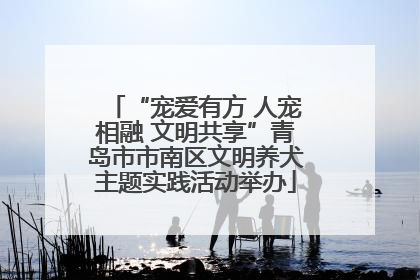 “宠爱有方 人宠相融 文明共享”青岛市市南区文明养犬主题实践活动举办
