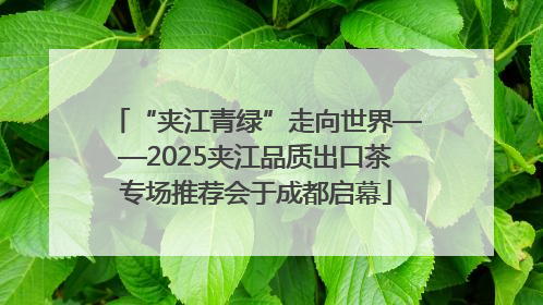 “夹江青绿”走向世界——2025夹江品质出口茶专场推荐会于成都启幕