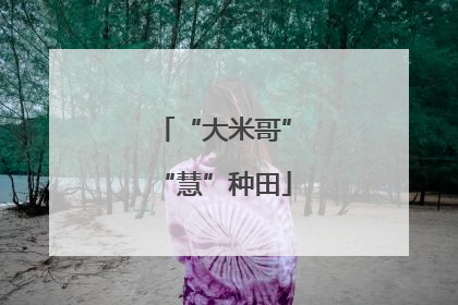 “大米哥”“慧”种田