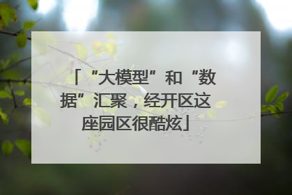 “大模型”和“数据”汇聚，经开区这座园区很酷炫