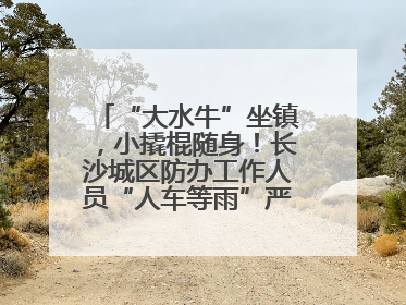 “大水牛”坐镇，小撬棍随身！长沙城区防办工作人员“人车等雨”严阵以待