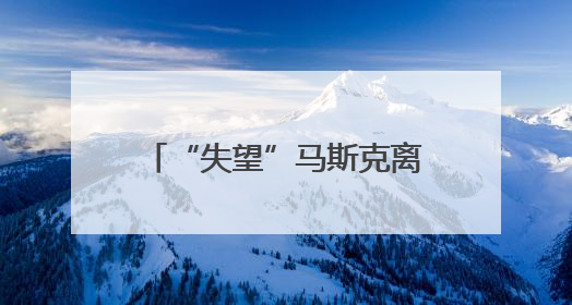 “失望”马斯克离开特朗普政府 媒体称当天两人未交谈