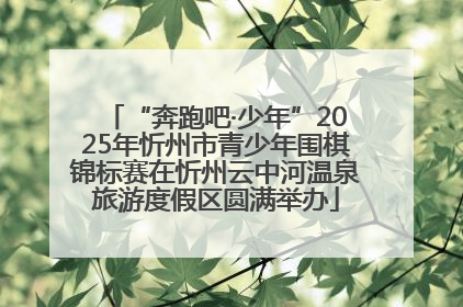 “奔跑吧·少年”2025年忻州市青少年围棋锦标赛在忻州云中河温泉旅游度假区圆满举办