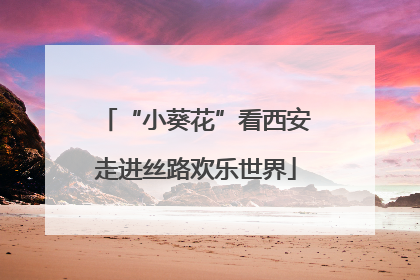 “小葵花”看西安走进丝路欢乐世界