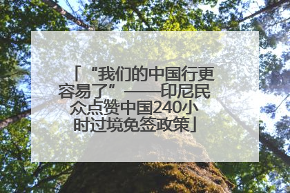 “我们的中国行更容易了”——印尼民众点赞中国240小时过境免签政策