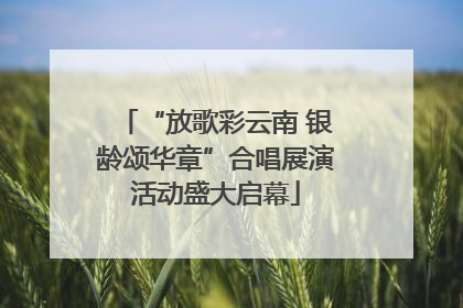 “放歌彩云南 银龄颂华章”合唱展演活动盛大启幕