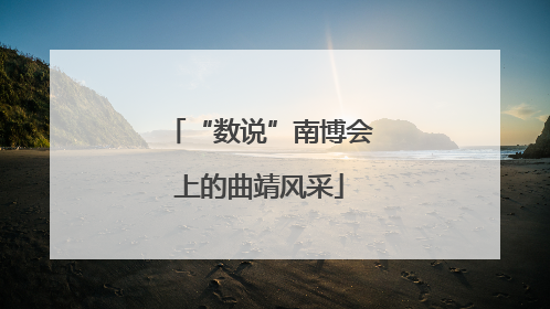 “数说”南博会上的曲靖风采