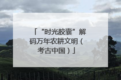 “时光胶囊”解码万年农耕文明（考古中国）