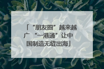 “朋友圈”越来越广 “一港通”让中国制造无缝出海