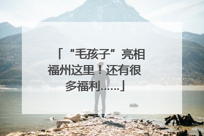 “毛孩子”亮相福州这里！还有很多福利……