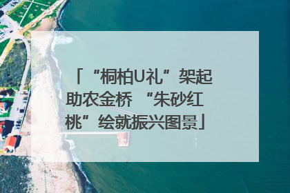 “桐柏U礼”架起助农金桥 “朱砂红桃”绘就振兴图景