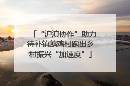 “沪滇协作”助力待补镇鹧鸡村跑出乡村振兴“加速度”