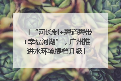 “河长制+碧道碧带+幸福河湖”，广州推进水环境提档升级