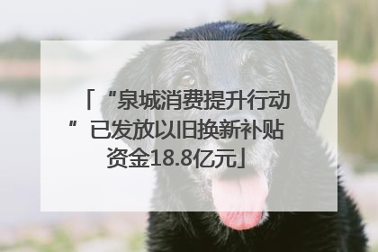 “泉城消费提升行动”已发放以旧换新补贴资金18.8亿元
