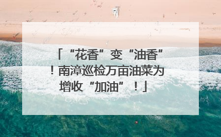 “花香”变“油香”！南漳巡检万亩油菜为增收“加油”！