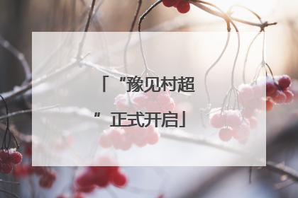 “豫见村超”正式开启