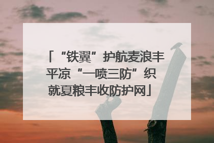 “铁翼”护航麦浪丰 平凉“一喷三防”织就夏粮丰收防护网