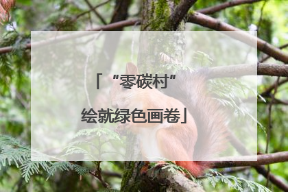 “零碳村” 绘就绿色画卷