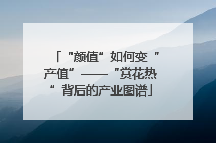 “颜值”如何变“产值”——“赏花热”背后的产业图谱