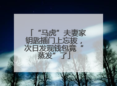 “马虎”夫妻家钥匙插门上忘拔，次日发现钱包竟“蒸发”了