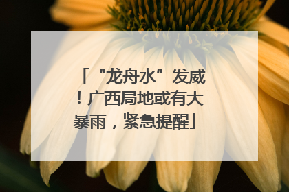 “龙舟水”发威！广西局地或有大暴雨，紧急提醒