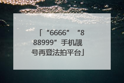 “6666”“888999”手机靓号再登法拍平台