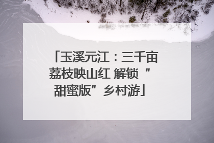 玉溪元江：三千亩荔枝映山红 解锁“甜蜜版”乡村游