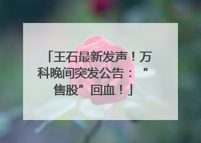 王石最新发声！万科晚间突发公告：“售股”回血！