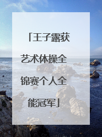 王子露获艺术体操全锦赛个人全能冠军