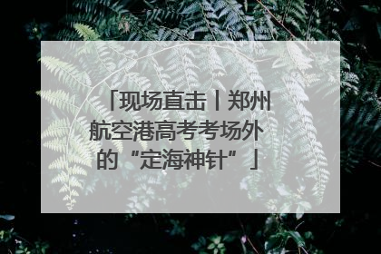 现场直击丨郑州航空港高考考场外的“定海神针”