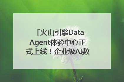 火山引擎Data Agent体验中心正式上线！企业级AI数据专家触手可及