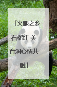 火腿之乡石榴红 美育润心情共融
