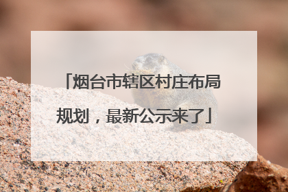 烟台市辖区村庄布局规划，最新公示来了