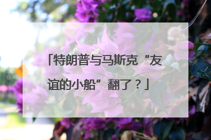 特朗普与马斯克“友谊的小船”翻了？