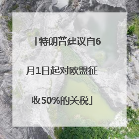 特朗普建议自6月1日起对欧盟征收50%的关税